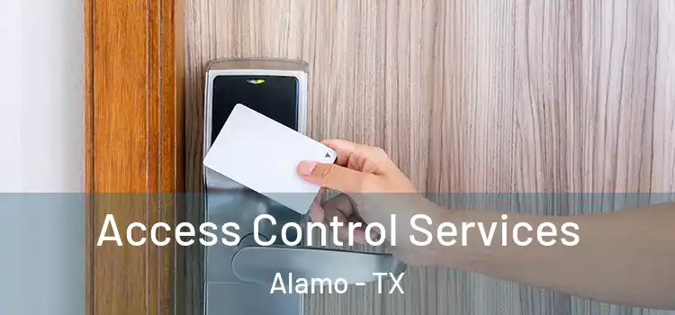 Access Control Services Alamo - TX