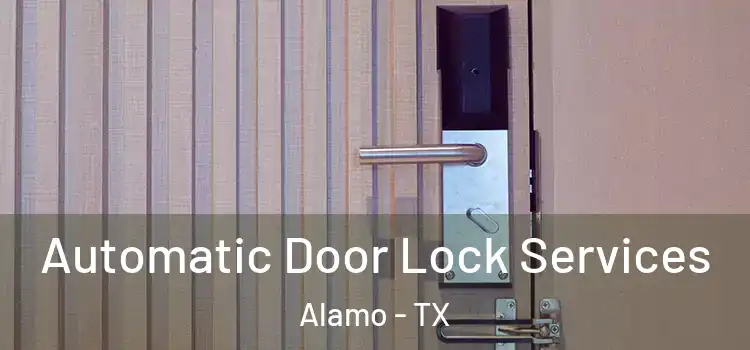 Automatic Door Lock Services Alamo - TX