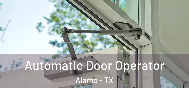 Automatic Door Operator Alamo - TX