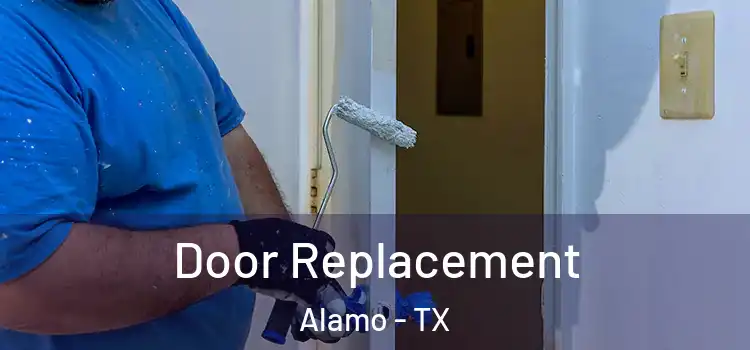 Door Replacement Alamo - TX