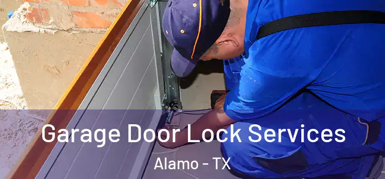 Garage Door Lock Services Alamo - TX