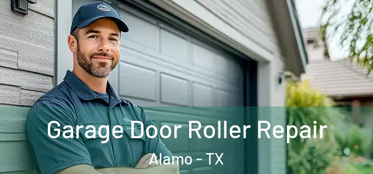  Garage Door Roller Repair Alamo - TX