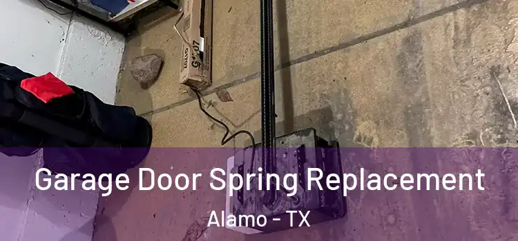  Garage Door Spring Replacement Alamo - TX