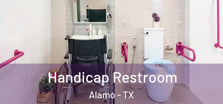 Handicap Restroom Alamo - TX