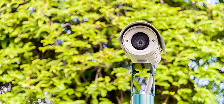 Advanced Surveillance Solutions for Every Need in Alamo