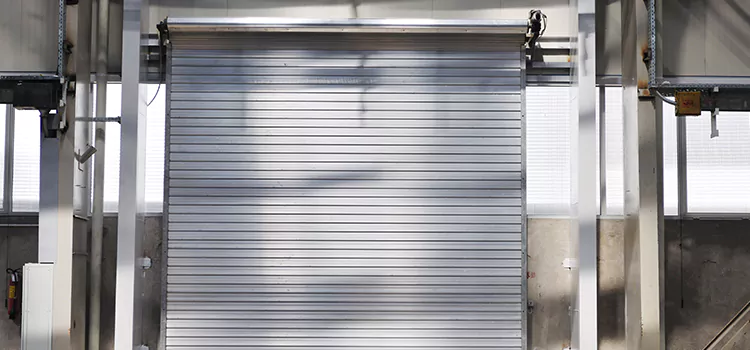Roller Door Maintenance Alamo