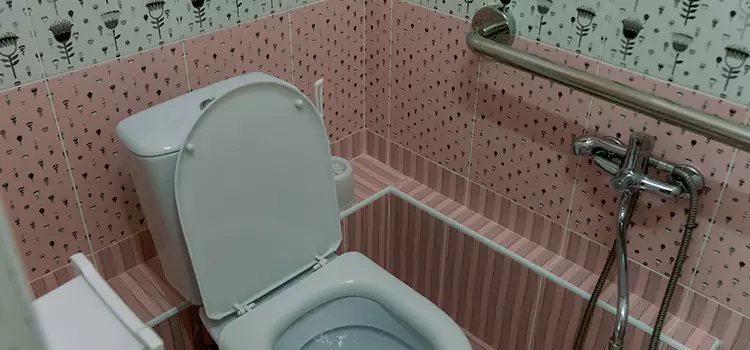 Meeting Diverse Needs With Accessible Restroom Solutions in Alamo, TX