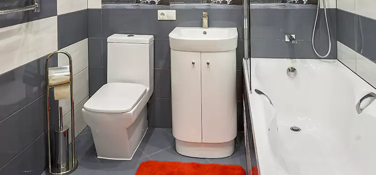 Hansgrohe Shaving Mirror Alamo