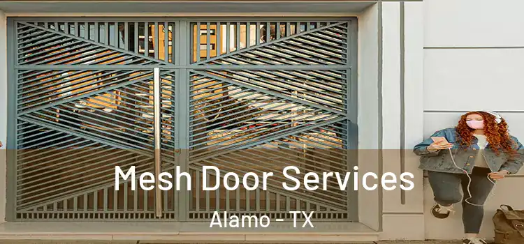 Mesh Door Services Alamo - TX