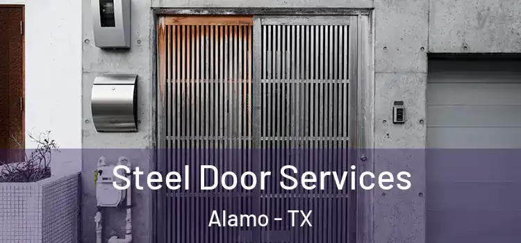 Steel Door Services Alamo - TX